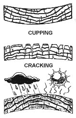 Cupping Cracking
